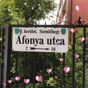 Meet your Posher, Anna